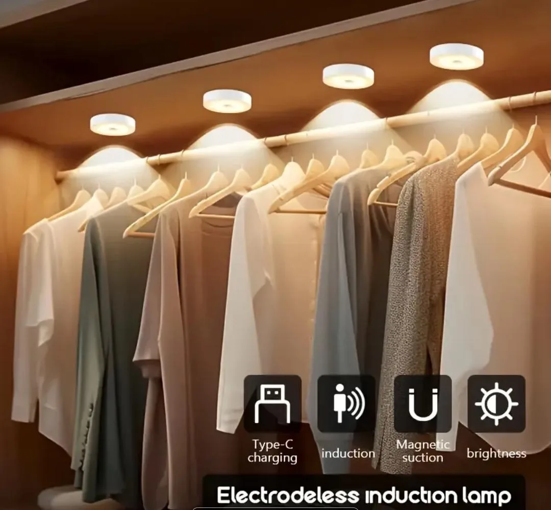 Electrode Induction Lamp